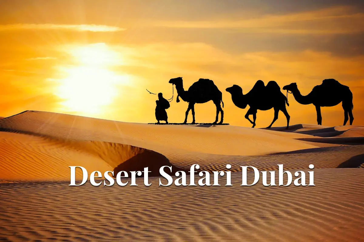 You are currently viewing Desert Safari Dubai:The Adventure You Can’t Miss