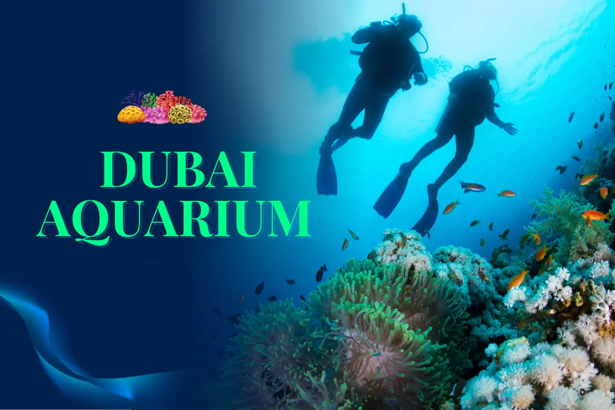 Read more about the article Dubai Aquarium Tickets: New Deals & Visitor Guidelines